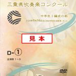24P00100